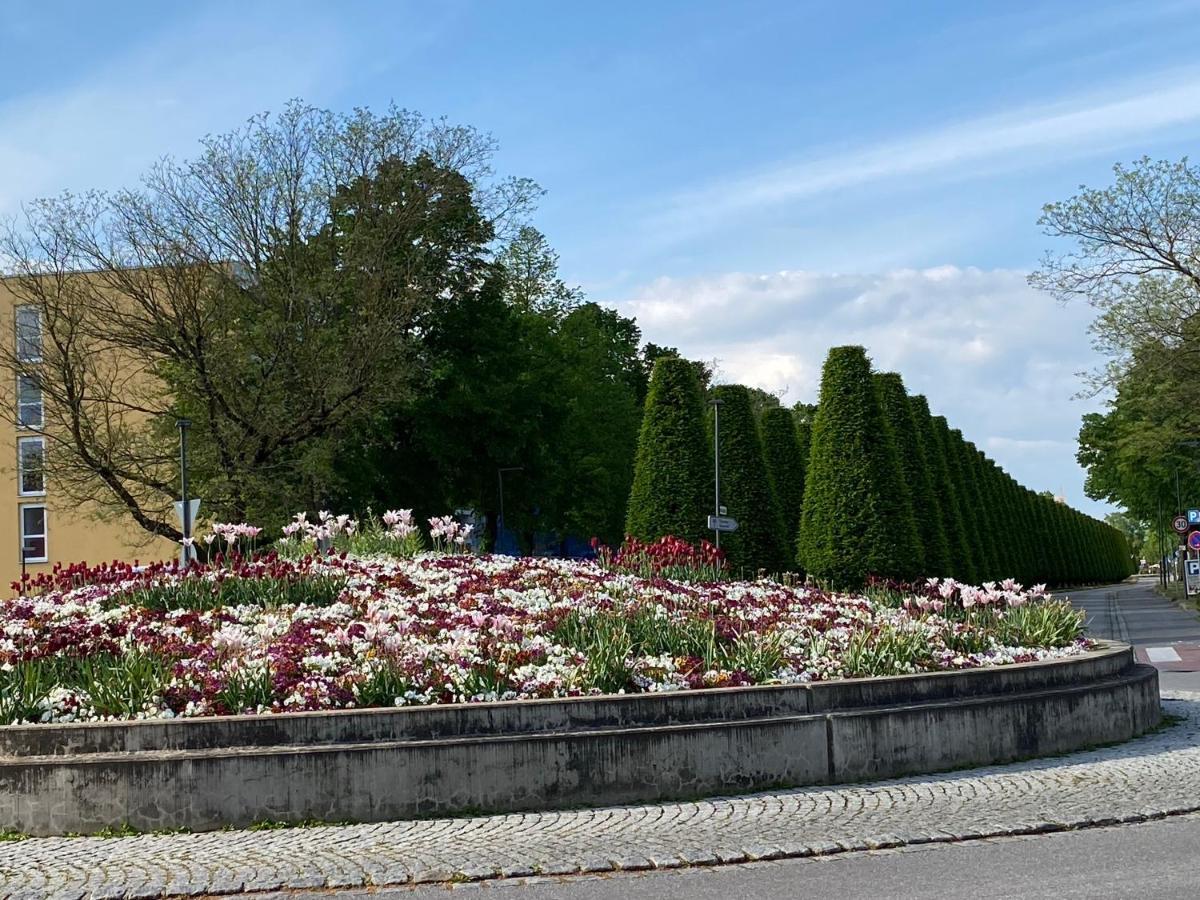 Appartementhaus Nuernberg 바트푸징 외부 사진